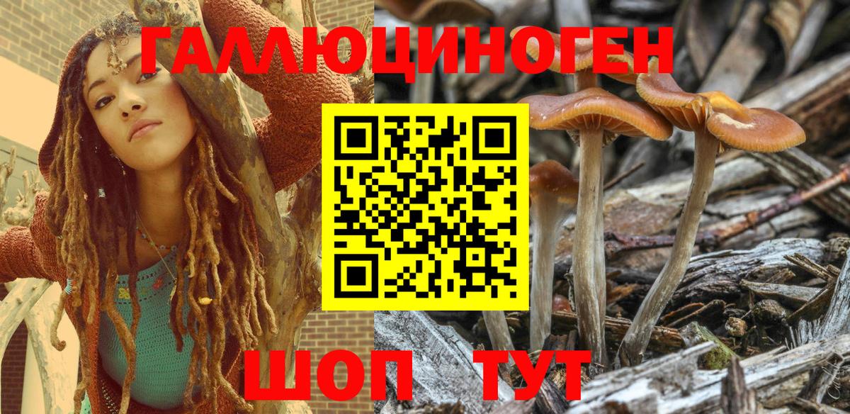Псилоцибиновые грибы мицелий Коркино