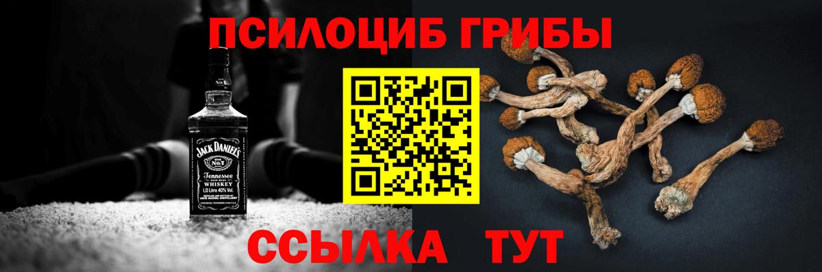 Галлюциногенные грибы Psilocybe  Вход с VPN  Коркино 